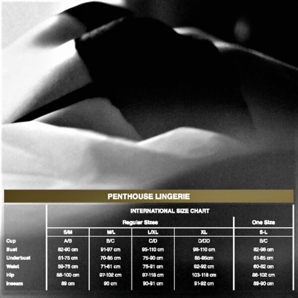 PENTHOUSE - SALUTE ME TEDDY XL - Image 3