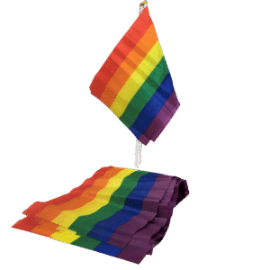 PRIDE - BANDEIRA LGBT BANDEIRA PEQUENA