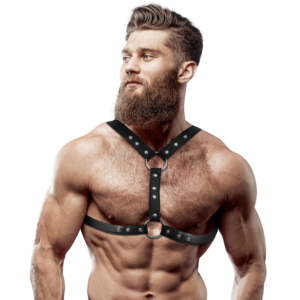 img_149687_193438d53d6f2ad5ad1a2294263dc8e7_1 FETISH SUBMISSIVE ATTITUDE - ARNÊS DE PEITO DE COURO ECOLÓGICO COM SUPORTE DUPLO E TACHAS PARA HOMENS